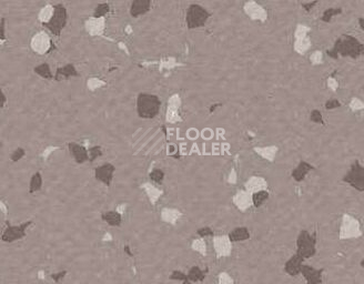 Линолеум Gerflor Taralay Premium Brazilia 4329 Bacabal фото 1 | FLOORDEALER